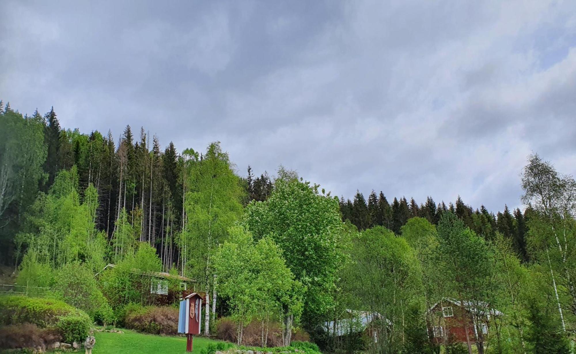 Vikinggard Cottages Holjes Екстериор снимка