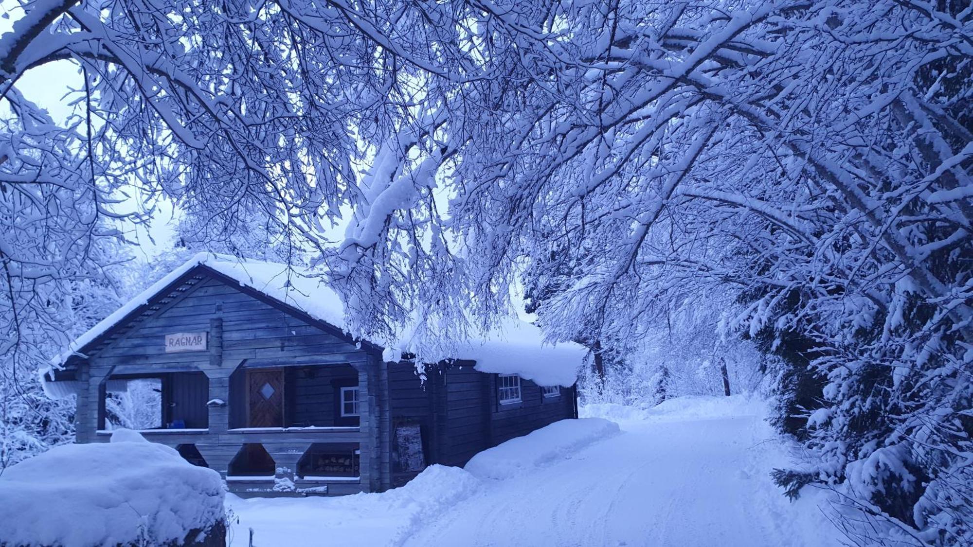 Vikinggard Cottages Holjes Екстериор снимка