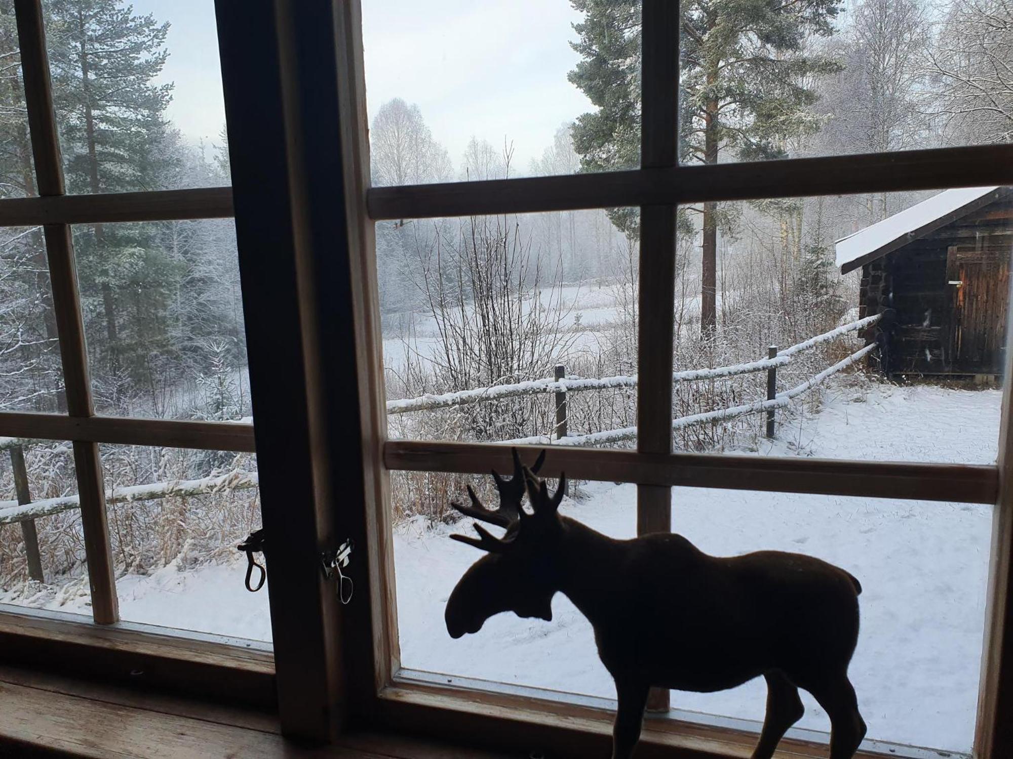 Vikinggard Cottages Holjes Екстериор снимка