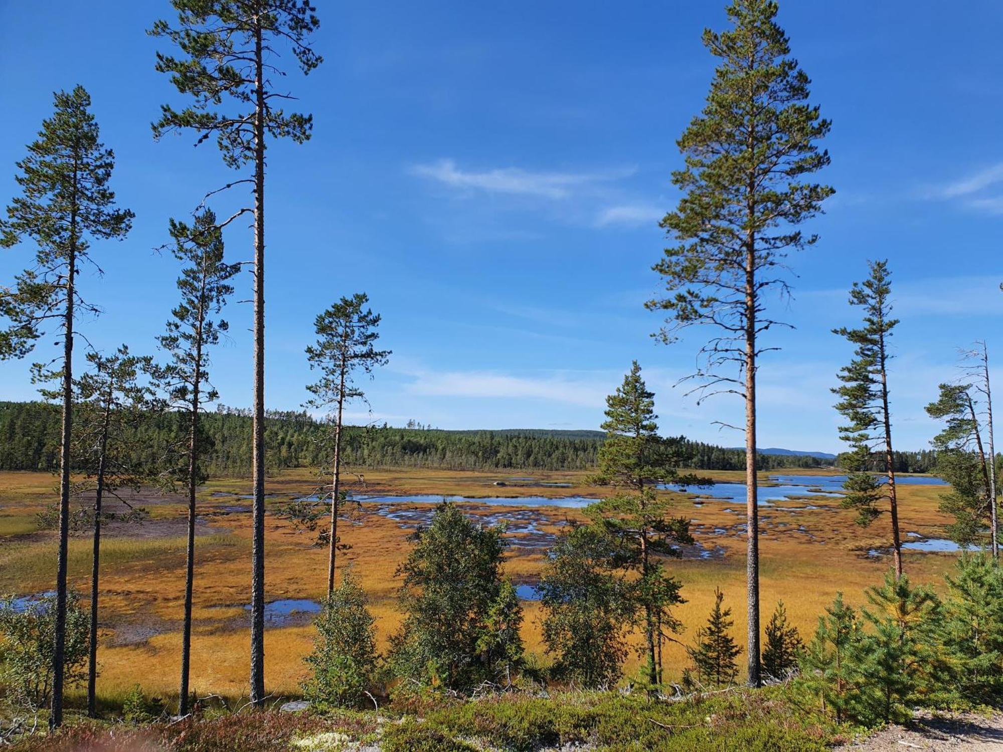 Vikinggard Cottages Holjes Екстериор снимка